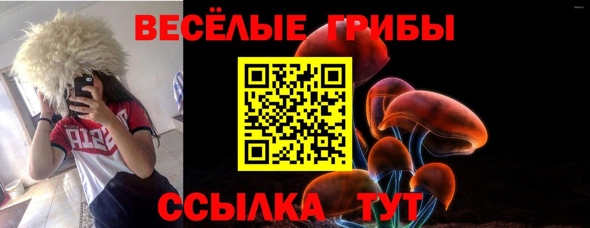 Псилоцибиновые грибы MAGIC MUSHROOMS Кумертау